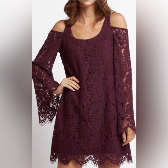 Chaser, Floral Lace Mini Dress, Size S - Picture 3 of 16